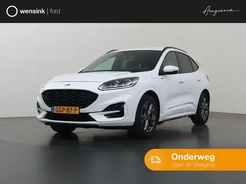 Used FORD KUGA Hybrid 2020 Ad 