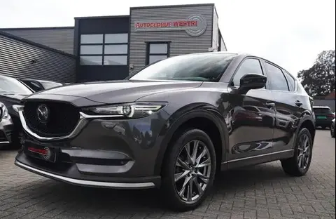 Used MAZDA CX-5 Petrol 2019 Ad 