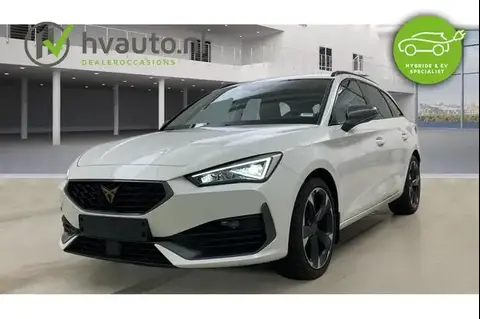 Used CUPRA LEON Petrol 2023 Ad 