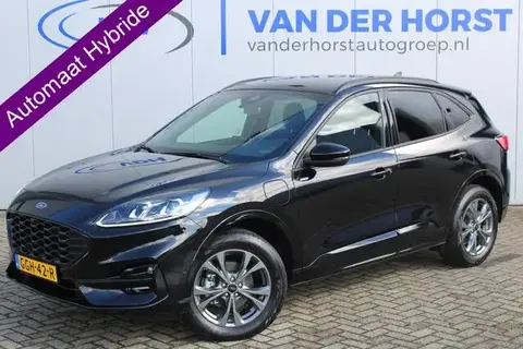 Annonce FORD KUGA Hybride 2023 d'occasion 