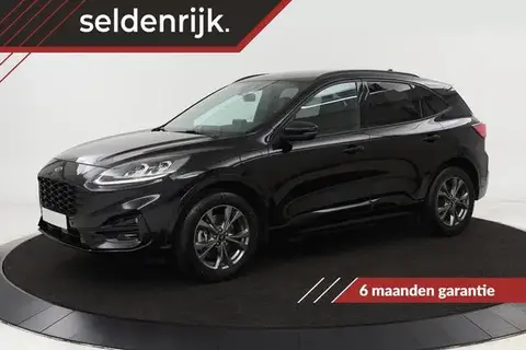 Annonce FORD KUGA Hybride 2021 d'occasion 