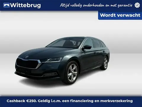 Used SKODA OCTAVIA Hybrid 2021 Ad 