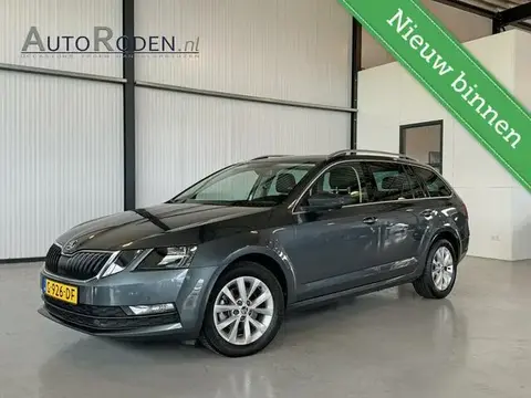 Used SKODA OCTAVIA Petrol 2019 Ad 