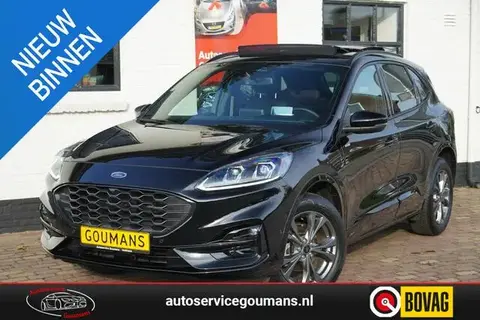 Annonce FORD KUGA Hybride 2022 d'occasion 