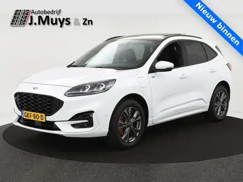 Annonce FORD KUGA Hybride 2021 d'occasion 