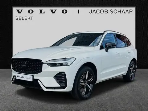 Used VOLVO XC60 Hybrid 2022 Ad 