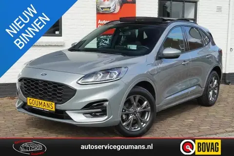 Annonce FORD KUGA Hybride 2022 d'occasion 