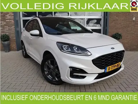 Annonce FORD KUGA Hybride 2020 d'occasion 