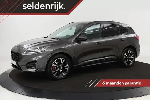 Used FORD KUGA Hybrid 2020 Ad 