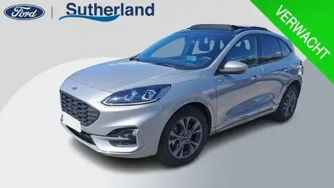 Used FORD KUGA Hybrid 2023 Ad 