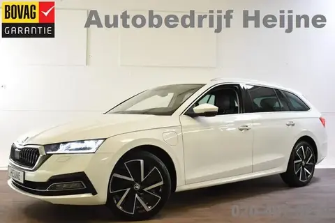 Used SKODA OCTAVIA Hybrid 2021 Ad 