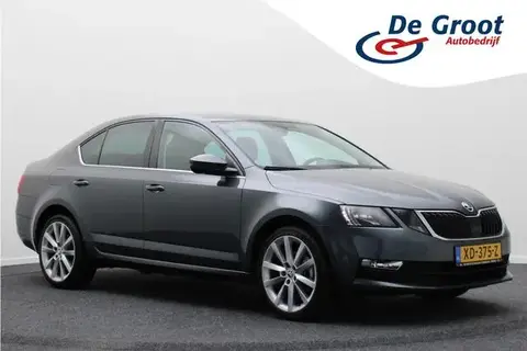 Used SKODA OCTAVIA Petrol 2019 Ad 