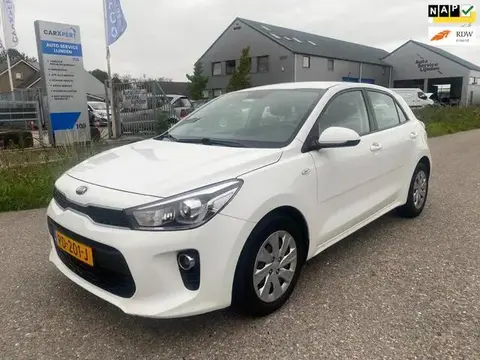 Used KIA RIO Petrol 2017 Ad 