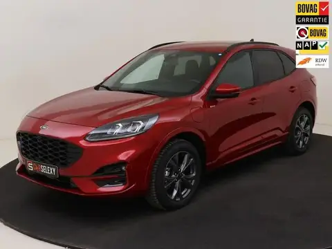 Used FORD KUGA Hybrid 2023 Ad 