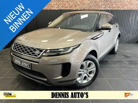 Used LAND ROVER RANGE ROVER EVOQUE Petrol 2021 Ad 