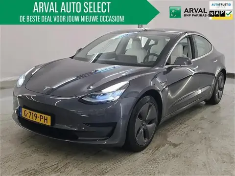 Used TESLA MODEL 3 Electric 2019 Ad 