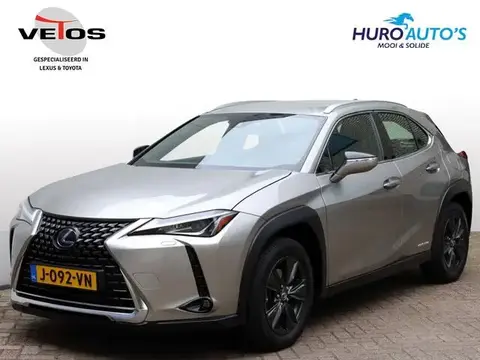 Used LEXUS UX Hybrid 2019 Ad 