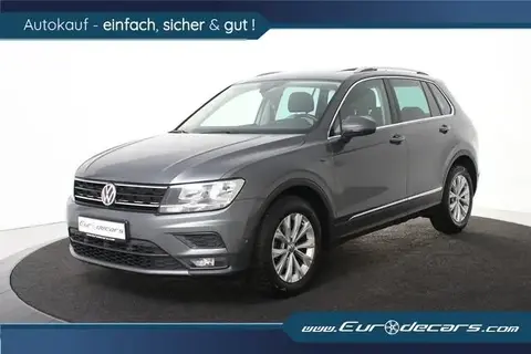 Used VOLKSWAGEN TIGUAN Diesel 2019 Ad 