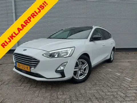 Used FORD FOCUS Petrol 2019 Ad 