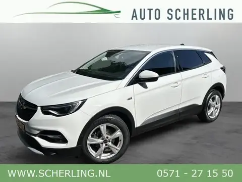 Used OPEL GRANDLAND Petrol 2020 Ad 