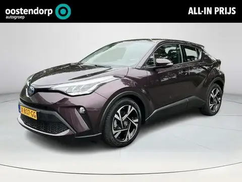 Used TOYOTA C-HR Hybrid 2023 Ad 