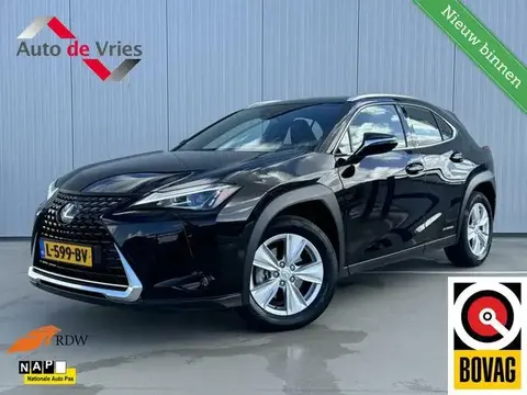 Annonce LEXUS UX Hybride 2021 d'occasion 