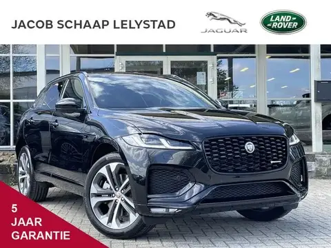 Used JAGUAR F-PACE Hybrid 2024 Ad 