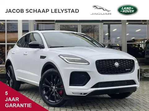 Annonce JAGUAR E-PACE Hybride 2024 d'occasion 