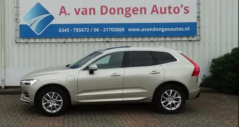 Annonce VOLVO XC60 Hybride 2019 d'occasion 