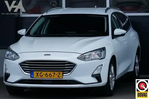 Used FORD FOCUS Petrol 2019 Ad 