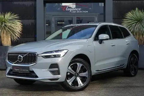 Used VOLVO XC60 Hybrid 2023 Ad 