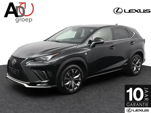 Used LEXUS NX Hybrid 2020 Ad 