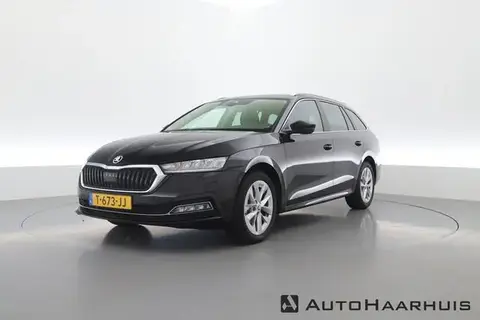 Used SKODA OCTAVIA Petrol 2023 Ad 