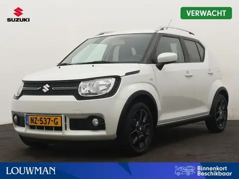 Used SUZUKI IGNIS Petrol 2017 Ad 