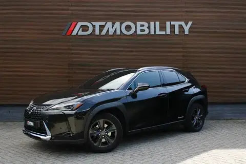 Used LEXUS UX Hybrid 2020 Ad 