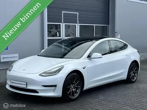 Used TESLA MODEL 3 Electric 2019 Ad 