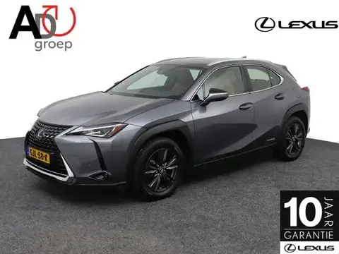 Used LEXUS UX Hybrid 2020 Ad 