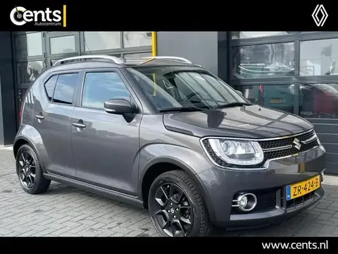 Used SUZUKI IGNIS Petrol 2019 Ad 