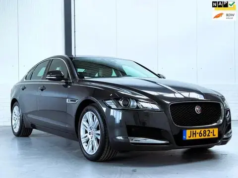 Annonce JAGUAR XF Essence 2016 d'occasion 