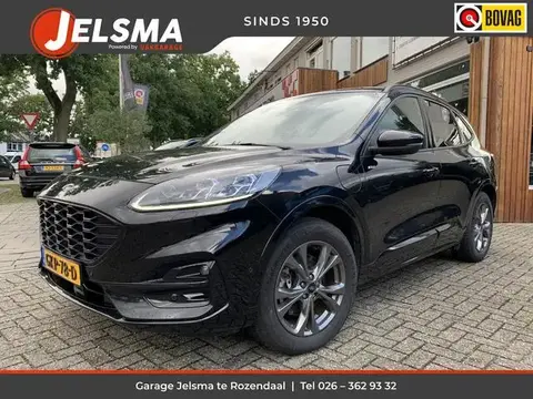 Annonce FORD KUGA Hybride 2021 d'occasion 