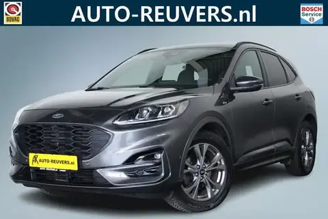 Used FORD KUGA Diesel 2020 Ad 