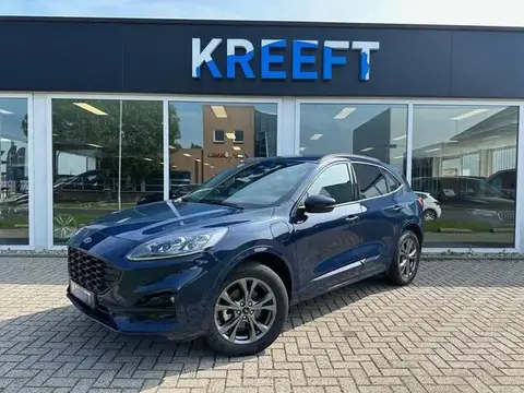 Annonce FORD KUGA Hybride 2023 d'occasion 