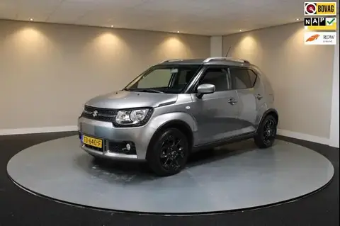 Used SUZUKI IGNIS Petrol 2018 Ad 