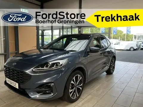 Used FORD KUGA Hybrid 2023 Ad 