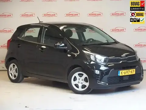 Annonce KIA PICANTO Essence 2021 d'occasion 