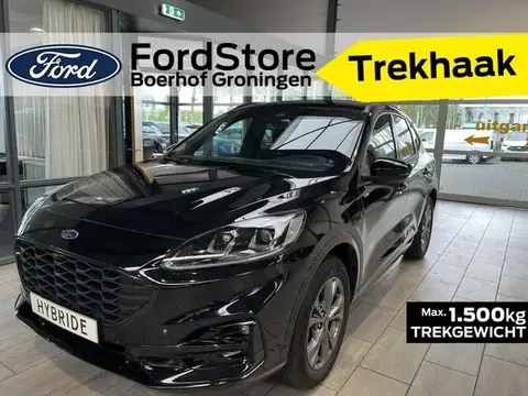 Used FORD KUGA Hybrid 2023 Ad 