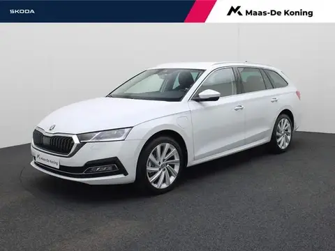 Annonce SKODA OCTAVIA Hybride 2024 d'occasion 