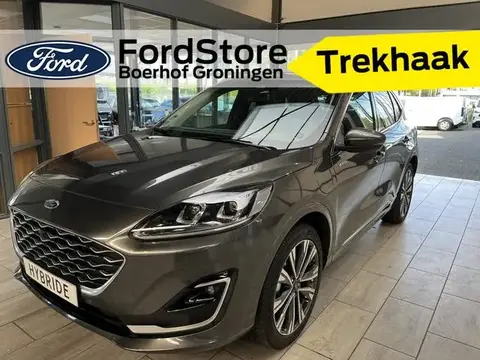 Used FORD KUGA Hybrid 2023 Ad 