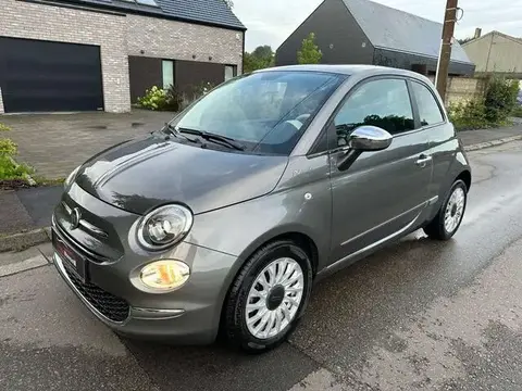 Used FIAT 500 Petrol 2021 Ad 