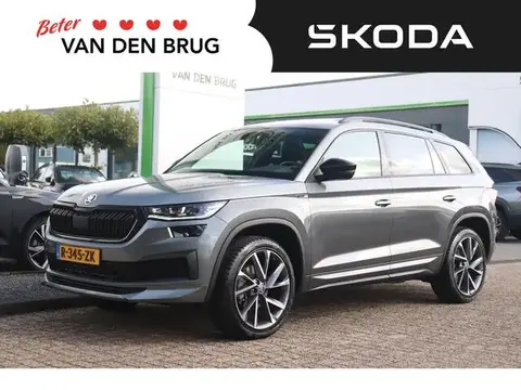 Used SKODA KODIAQ Petrol 2023 Ad 